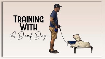 Training with a Deaf Dog