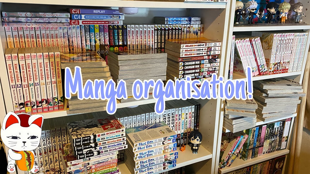 Manga shelf organisation + cleaning! \(^u^)/