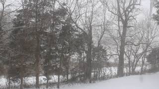 Snowing on 2-15-21