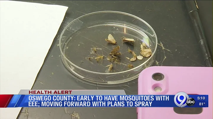 Oswego County moving forward with plans to spray for mosquitos