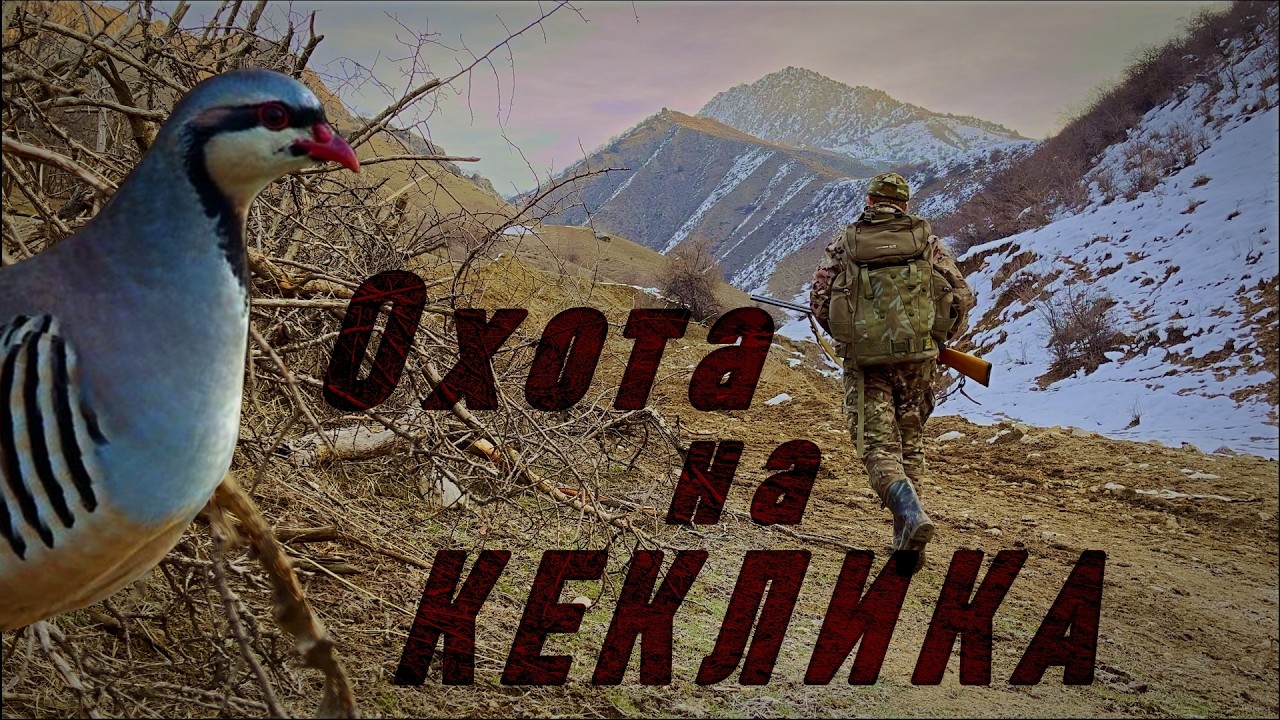 Охота на КЕКЛИКА | Охота в Самых Красивых Родных Местах | Ружьё ИЖ-58 МА