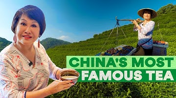 1,200 Years in a Sip: Exploring China’s Most Famous Tea! | One World in Hangzhou