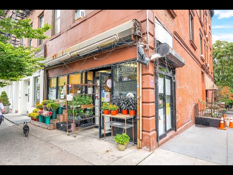 Video: Fifth Avenue Shopping a Park Slope, Brooklyn, New York