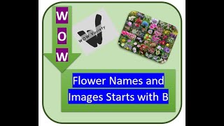 Flower Images and Names starts with B