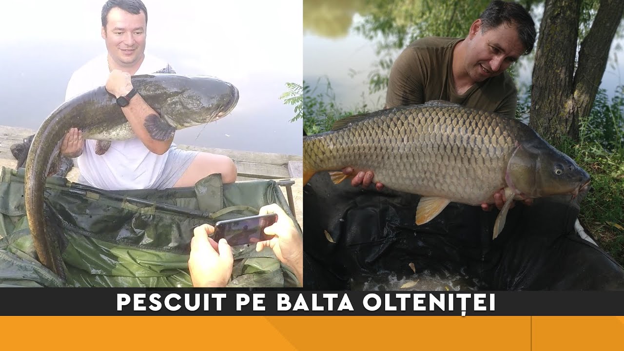 Secretele baltii Oltenitei si drilluri de neuitat