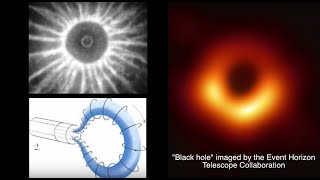 Wal Thornhill: Black Hole or Plasmoid? | Space News