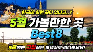 놓치면 후회합니다!ㅣ여름이 오기 전에 가야하는 5월 가볼만한 곳 BEST8(+명소추천)