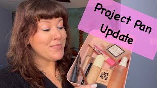 Project Pan Update ~ February