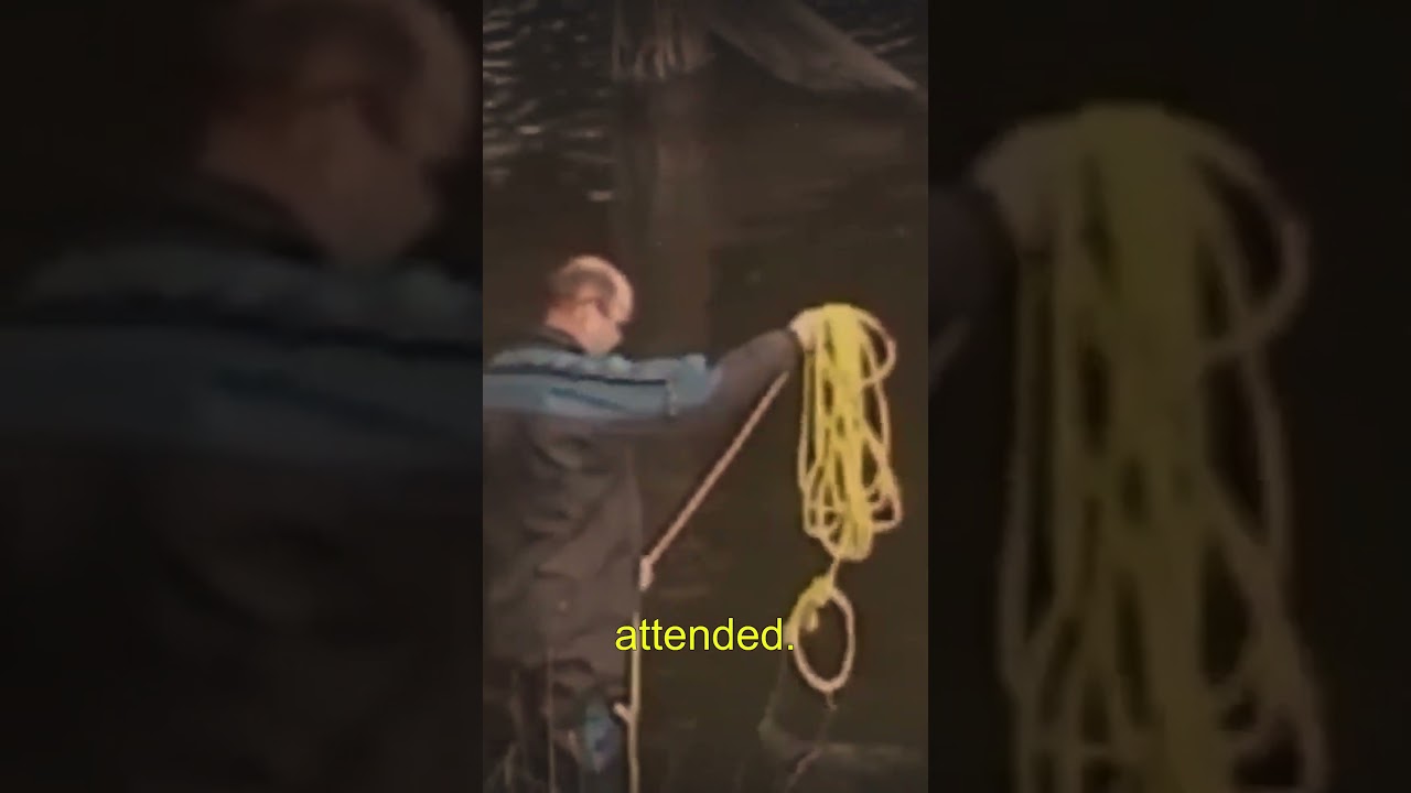 The Investigation Begins 