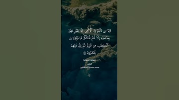 سورة الأنعام آيه ٣٨#المنشاوي #العراق #القرآن_الكريم #اكسبلور #لايك #تيك_توك #حالات_واتس #dueto#ترند