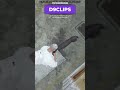 Утренний сбор лута на D9  #D9CLIPS #District9RP #GTA5 #RAGEMP