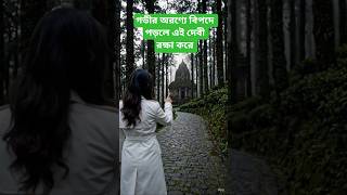 ডাওহিলের গভীর অরণ্যে লুকিয়ে থাকা দেবী বনদেবীর গোপন আস্তানা! 🌲🙏