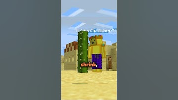 Doing The IMPOSSIBLE in Minecraft...