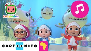 Cocomelon Baby Shark Cartoonito Africa