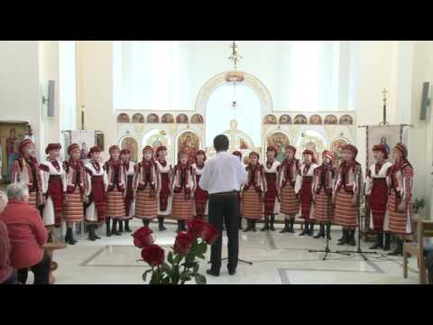 Явір і яворина LIVE 