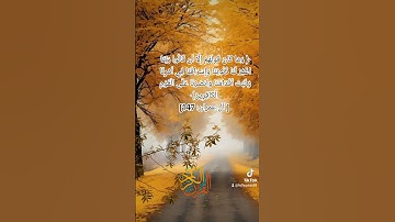 الراحه النفسيه تلاوة خاشعة ✨️✨️ ماهر المعيقلي حالات واتس اب قرآن كريم