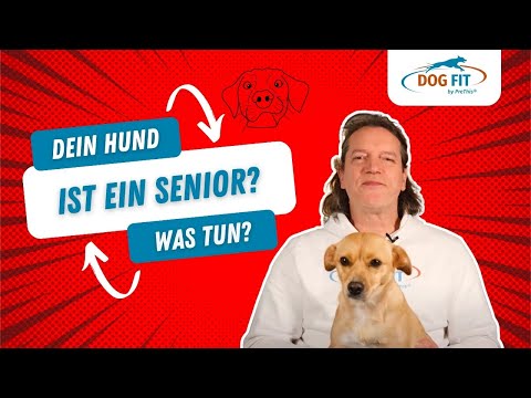 Video: 10 natürliche Wege, um die Gelenkschmerzen Ihres Shiba Inu zu lindern