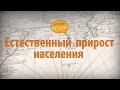 Естественный прирост населения Земли.