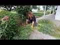 Flower Bed Maintenance: Perennial Cut Back, Rose Deadheading, Fixing Drip! 🌿✂️💧 // Garden Answer