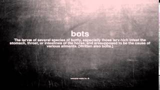 What Does Bots Mean