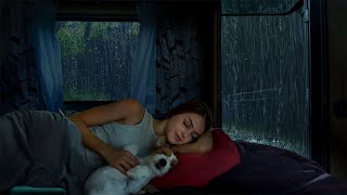 Heavy rain sounds for sleeping - Deep Sleep in a Cozy Car Cabin in the Forest Rain by Sleep Soundly Rain 4,746 views 2 days ago 10 hours, 40 minutes