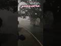 “मौसम ने लिया खतरनाक मोड़, तेज हवा और बारिश LIVE” #Weather #Storm #Rain #Aandhi #Baarish #Mausam
