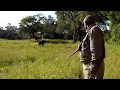 Norman Carr Safaris Film