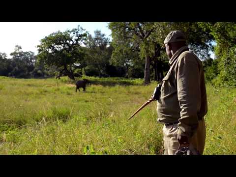 Time + Tide South Luangwa, Zambia - Following the Legacy of Norman Carr