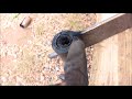How to remove a leaf spring/rubber bushing FAST AND EASY!!