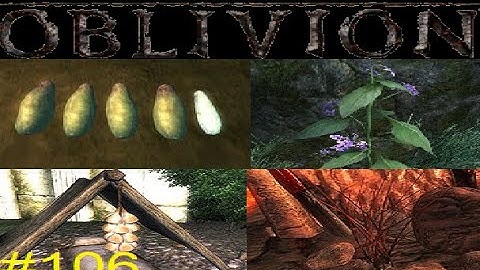 The Elder scrolls IV Oblivion-Max Difficulty-Part 106 (Ingredients for the Vampire cure)