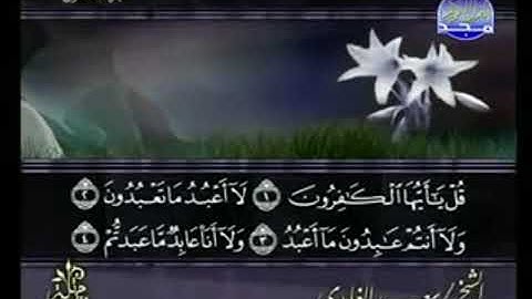 سورة الكافرون من الآية 1 الى الآية 6