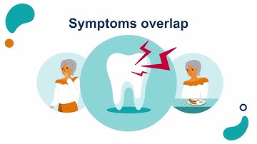 Decision Support Tool Explainer