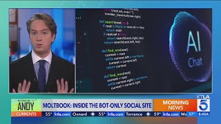 AI made a social media and we're not allowed; \