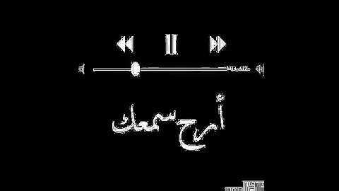 تلاوه رائعه بصوت انس سامي