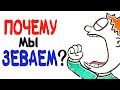 Почему мы зеваем? [AsapSCIENCE]