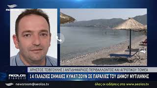 14 γαλάζιες σημαίες κυματίζουν σε παραλίες του Δήμου Μυτιλήνης