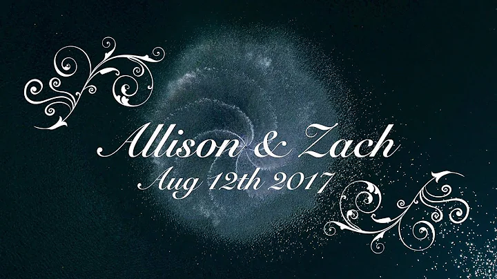 The Lake Anna Hall Shuttleworth Princess Wedding 8...