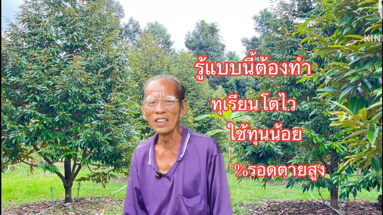 #รู้แบบนี้ทำตั้งนาน #ทุเรียนโตไว#สูตรทุนน้อย รอดตายสูง