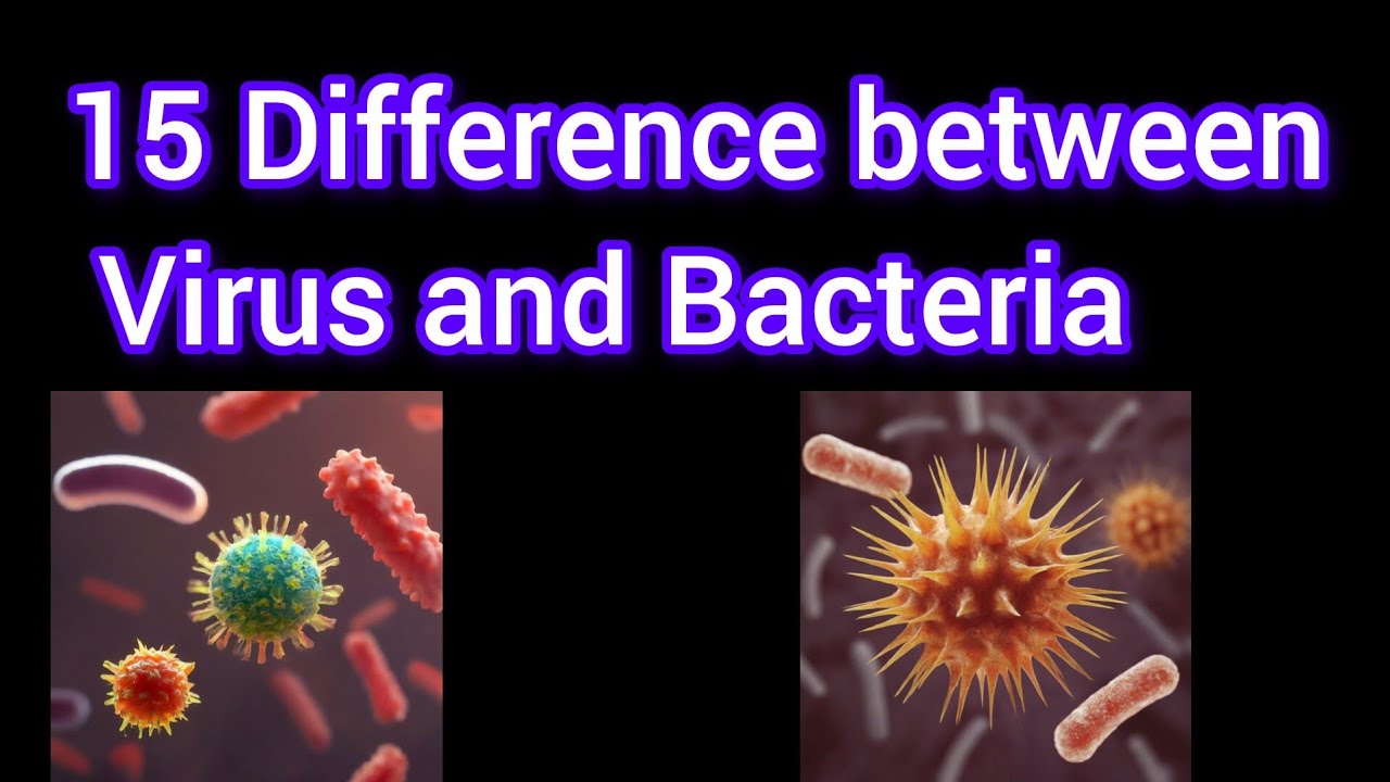 Difference between Virus and Bacteria - YouTube