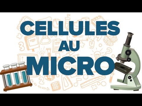 Observer Des Cellules Au Microscope Svt Mathrix Youtube Observer Des Cellules Au Microscope Svt Mathrix Youtube