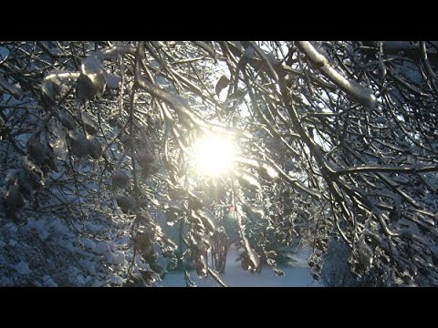 Video: 2019 -cu ilin dekabr ayında Kubada hava necə olacaq