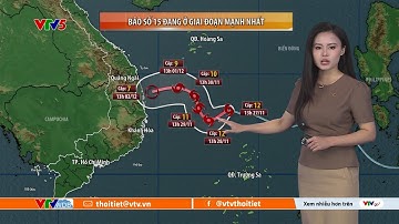 Dự báo thời tiết ngày mai 28/11/2025 | Bão số 15 đang rất mạnh | VTVWDB