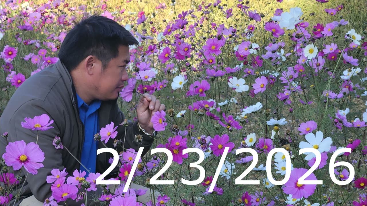 txiv tuag ta ua neeg liam/2/23/206