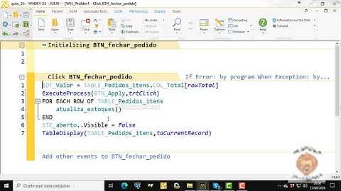 Guia Windev 25 - aula 169 - Uma procedure para atualizar estoques.