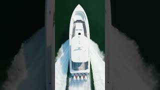 Panacea - 33033