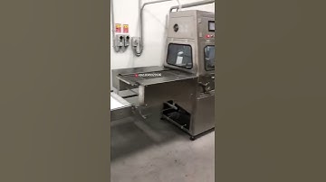 Chocolate coating machine for wafer roll products