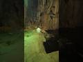 The Most Beautiful Aquarium Part 2 | Emaar Akvaryum