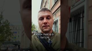 Секрет львов Петербурга раскрыт! #питер #спб #петербург #санктпетербург #львы #факты #архитектура