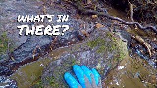 Finding Gold After Historic Flood