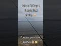 Με τι δόλωμα ψαρεύεται εσείς; ✌🏻🐠#fishing #casting #fish #ψαρεμα #ψάρεμα #greek #fy #fyp #hobby